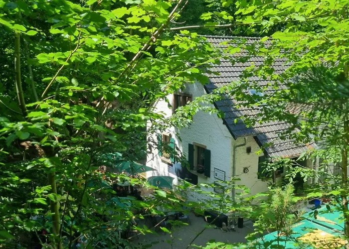 Charlottes Waldresidenz 公寓 Neustadt an der Weinstraße