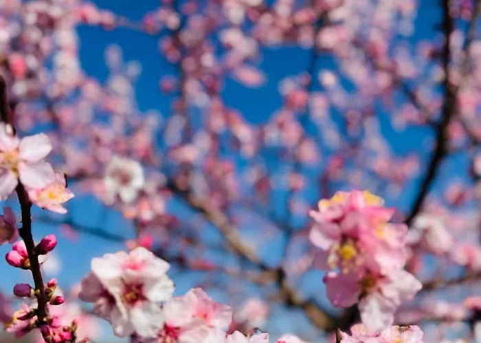 Charlottes Waldresidenz