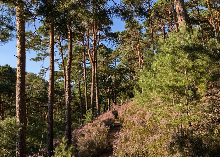 公寓 Charlottes Waldresidenz Neustadt an der Weinstraße