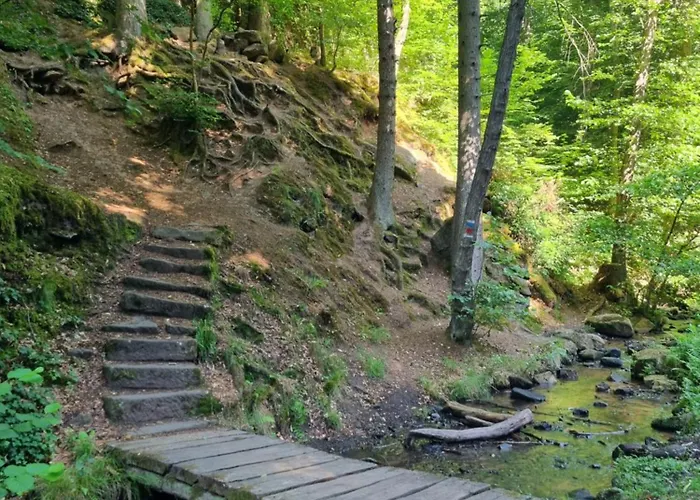 Charlottes Waldresidenz 公寓